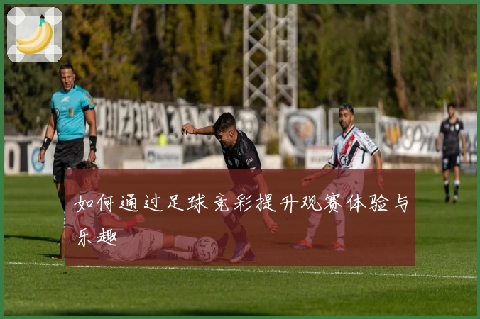 如何通过足球竞彩提升观赛体验与乐趣