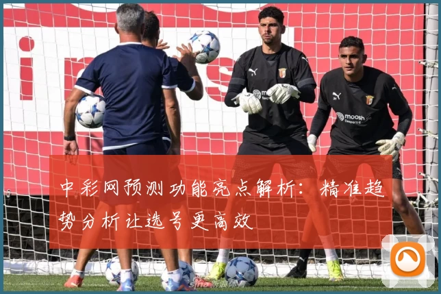 中彩网预测功能亮点解析：精准趋势分析让选号更高效