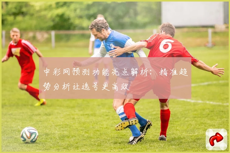 中彩网预测功能亮点解析：精准趋势分析让选号更高效