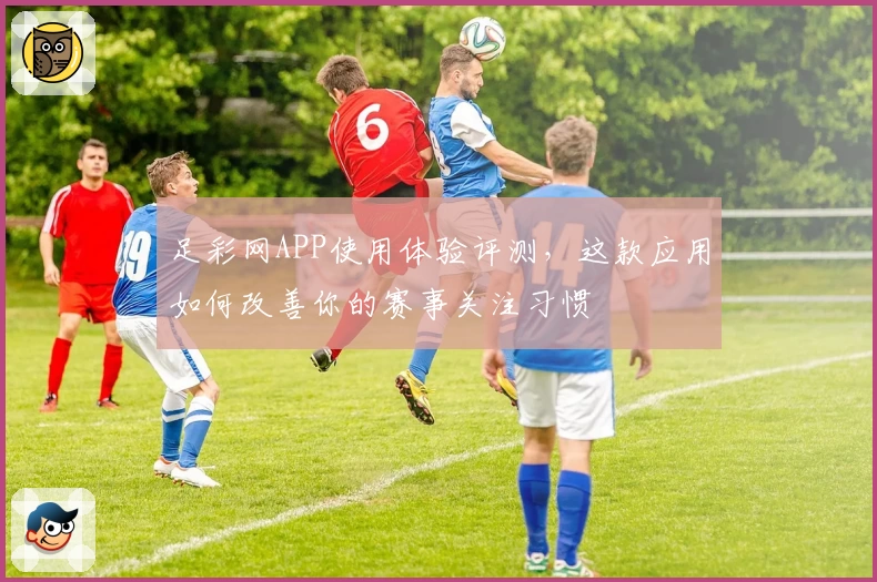 足彩网APP使用体验评测，这款应用如何改善你的赛事关注习惯