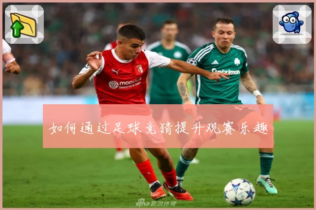 如何通过足球竞猜提升观赛乐趣