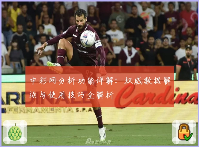 中彩网分析功能详解：权威数据解读与使用技巧全解析